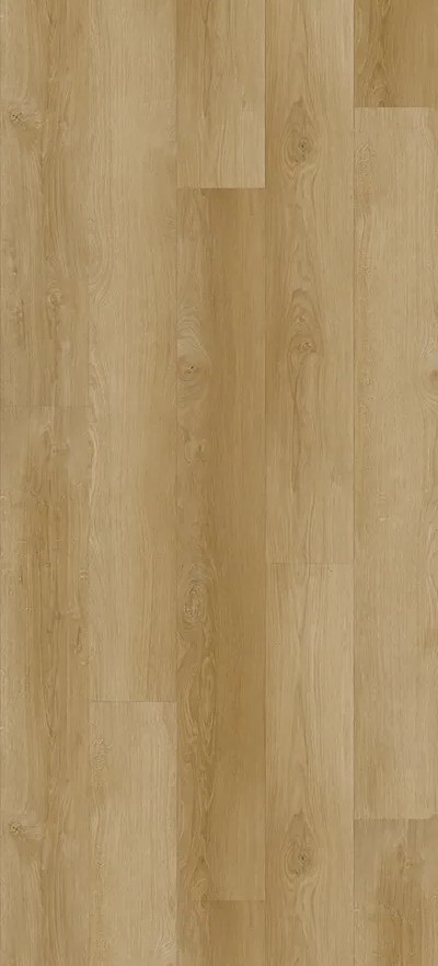 WRE224